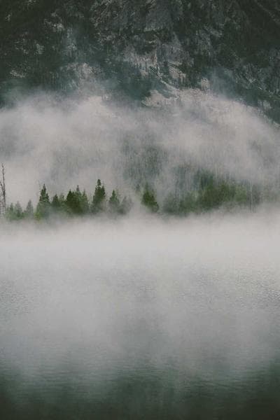 One Flew Over the Cuckoo's Nest