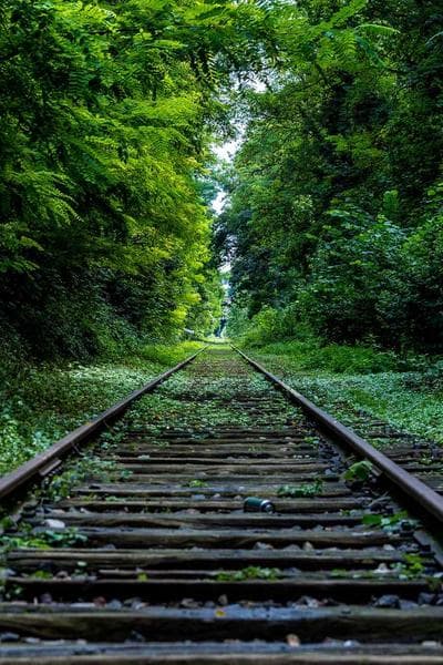 All Quiet on the Western Front