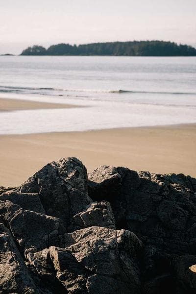 A Confederacy of Dunces