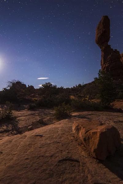 A Confederacy of Dunces