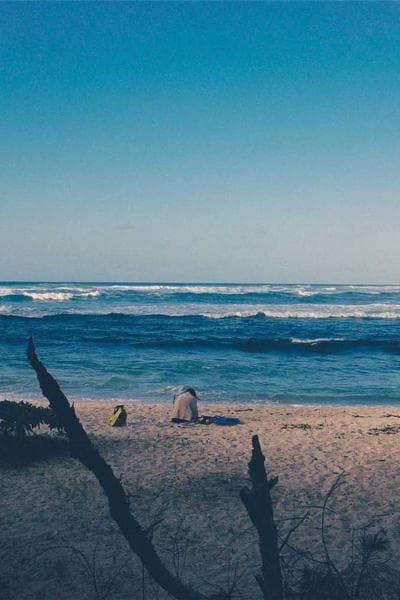 The Pilgrim's Progress